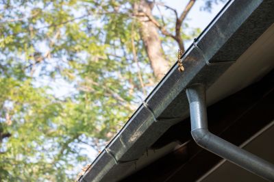Debris Removal from Gutters