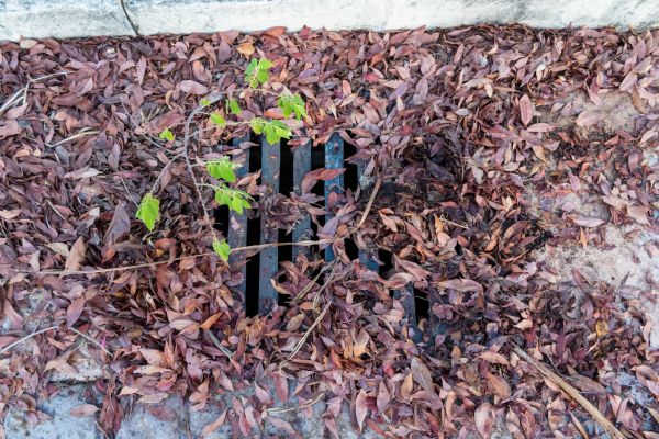 Yard Drain Unclogging in Green Bay