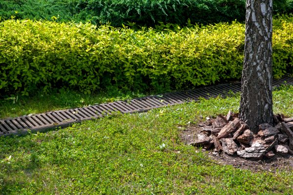 Residential Landscape Drainage in Green Bay